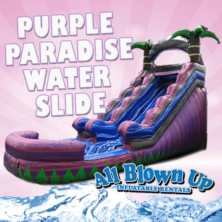 water slide inflatable in Evansville